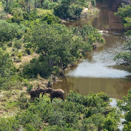 Clifftop Exclusive Safari Hideaway ヴェルハヴォンデン・ゲーム・リザーブ エクステリア 写真